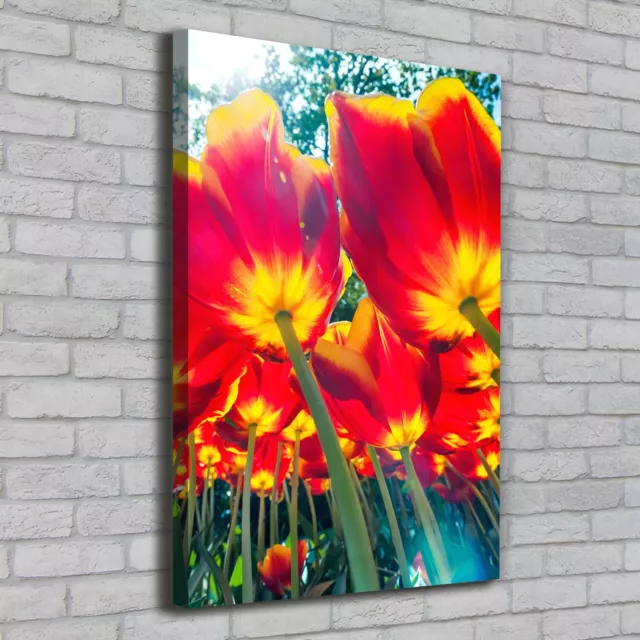 Leinwand-Bild Kunstdruck Hochformat 70x100 Bilder Rote Tulpen