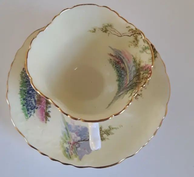 Vintage Aynsley Bone China Pale Yellow Bluebell Time Cup & Saucer C493/7 3