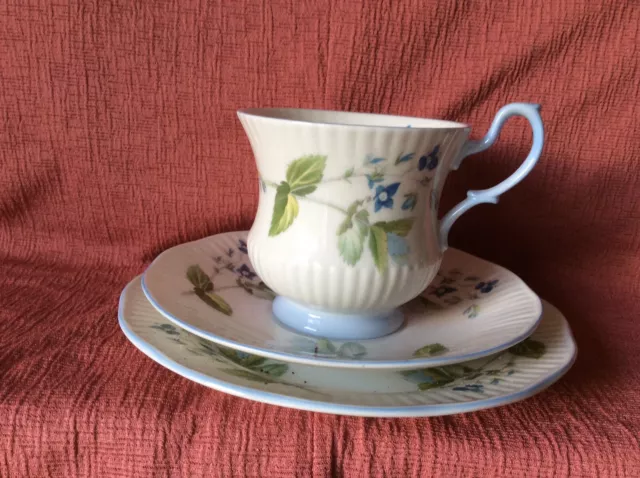 Rosina China Co Ltd Cup Saucer & Plate Made In England Fine Bone China