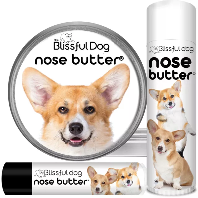 Corgi Nose Butter | Herbal Balm Moisturizes Rough, Dry Corgi Noses