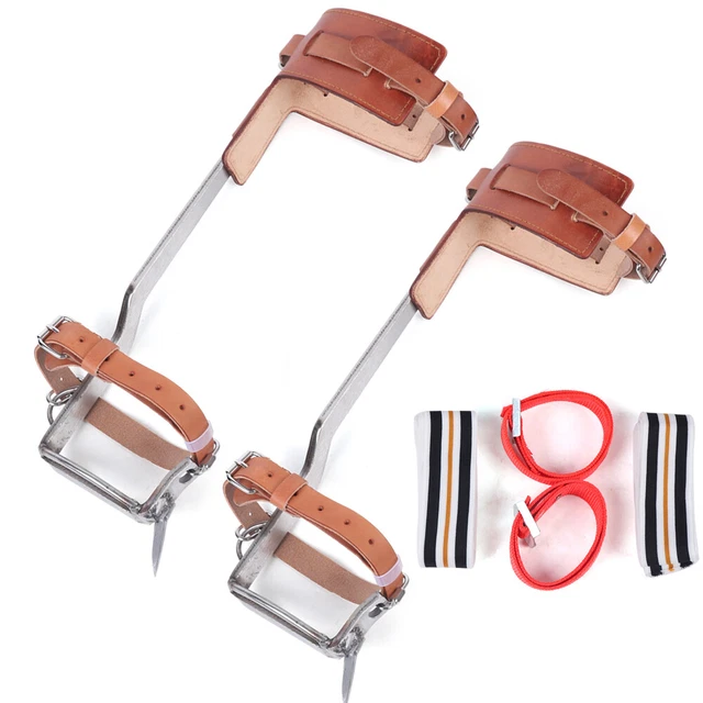 Stainless Steel 2Pcs Tree Climbing Spike Set Pole Claws Fits Travel Climber Kit