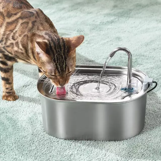 Fontaine à Eau Pour Chats En Acier Inoxydable 108  Mangeoire Pour Chats Pour