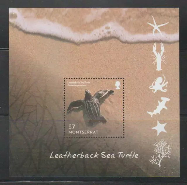 Turtle Stamps  Montserrat  2015 Leatherback Sea Turtles  Ss Mnh - Turt83