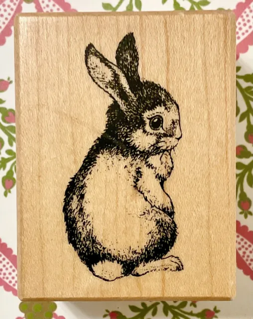 Easter Bunny Rabbit PSX D-1739 bunnies peter hare hoppity hop cute shy baby *