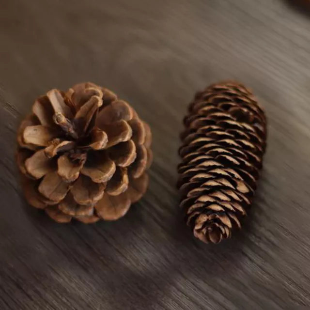Ornament Retro Smell-less Natural Wood Slices Decor Diy