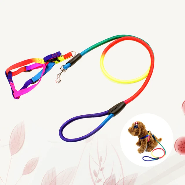 Towing Strap Traction Tape cucciolo guinzaglio arcobaleno cane imbracatura forniture per cani