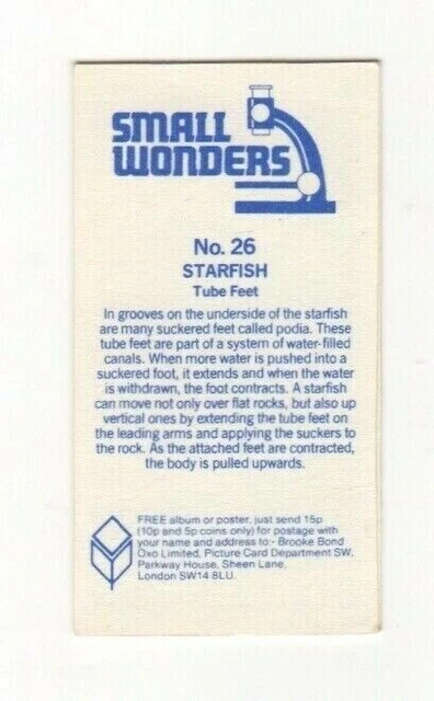 Brooke Bond Microscopic Images 1981 Starfish