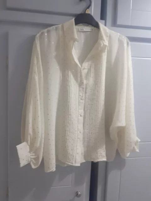 Zara Dressy Blouse