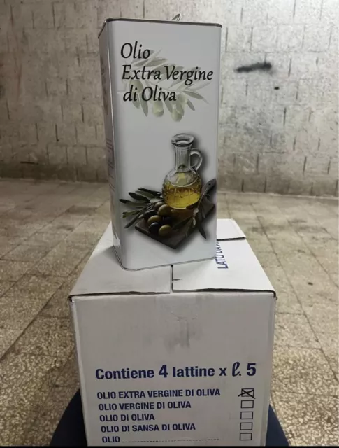 olio extravergine di oliva 5 litri 2024
