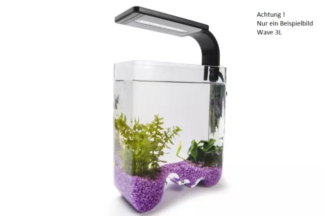 Aquael Decoris Vasque Déco Verre Récipient Vase Aquarium Vague 3 L 3