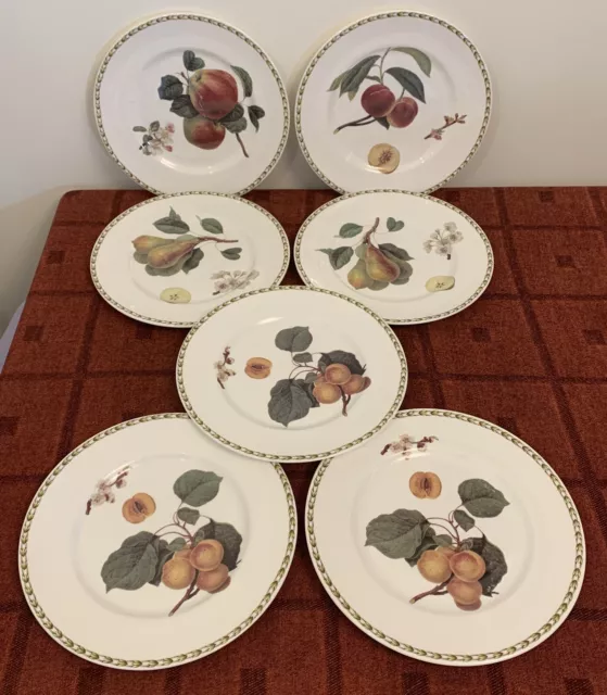 7 Queen’s Hookers Fruit Dinner Plates 27cm, The Royal Horticultural Society
