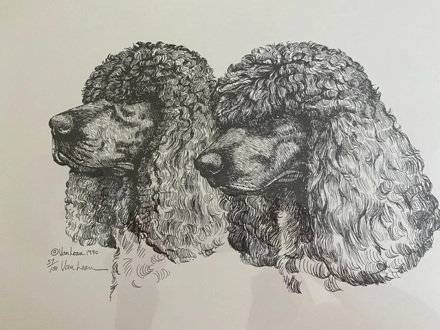 Irish Water Spaniel Two Heads  Ltd Ed Print By Martha Van Loan 11x17