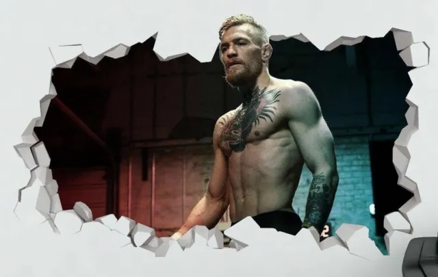 Conor McGregor MMA UFC Custom Wall Decals 3D Wall Stickers Art LS77