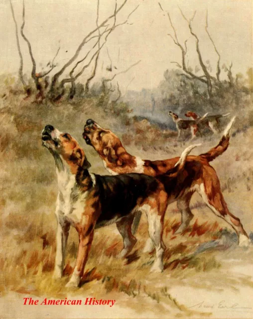 3443 Earl, Maud (1864-1943) - Power of the Dog 1910 - Fox Terrier