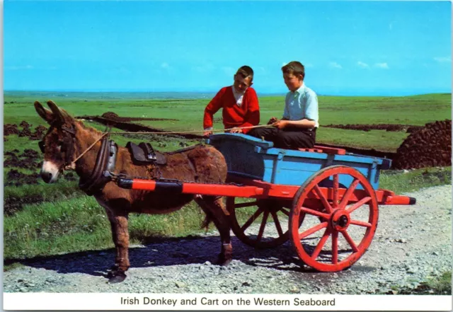 Irish Donkey and Cart on the Western Seaboard, Ireland Postcard