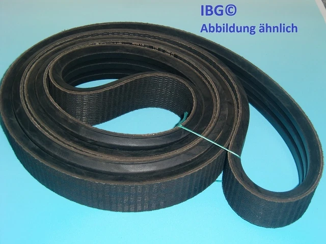 3/5V 1400 (3556mm) Verbundkeilriemen CWG 3/5V 1400 (3556mm) Verbundkeilriemen CWG