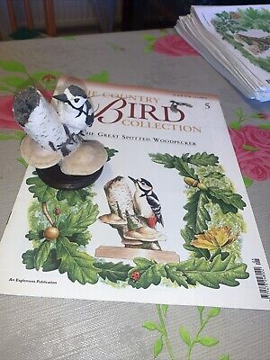 Country bird collection By Andy Pearce 5 ‘Spotted Woodpecker’ Sculpture/Magazine