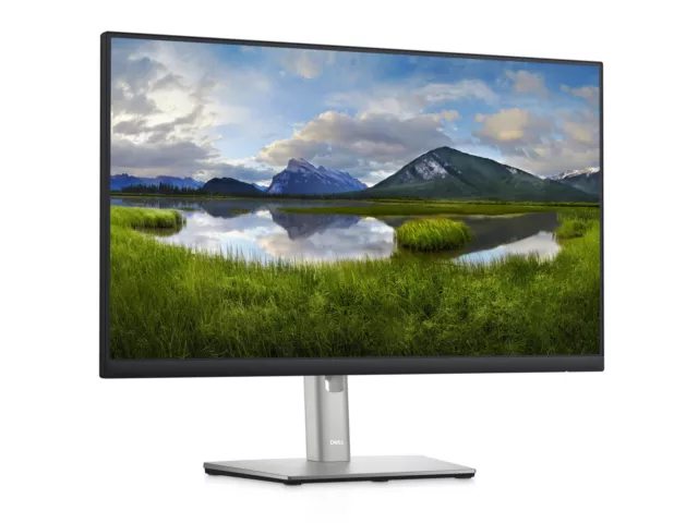 Dell Professional 60,96 cm (24") FHD IPS USB-C-Hub-Monitor – P2422HE, sRGB 99%