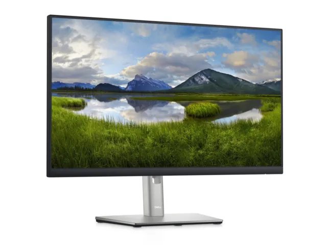 Dell Professional 60,96 cm (24") FHD IPS monitor hub USB-C - P2422HE, sRGB 99%