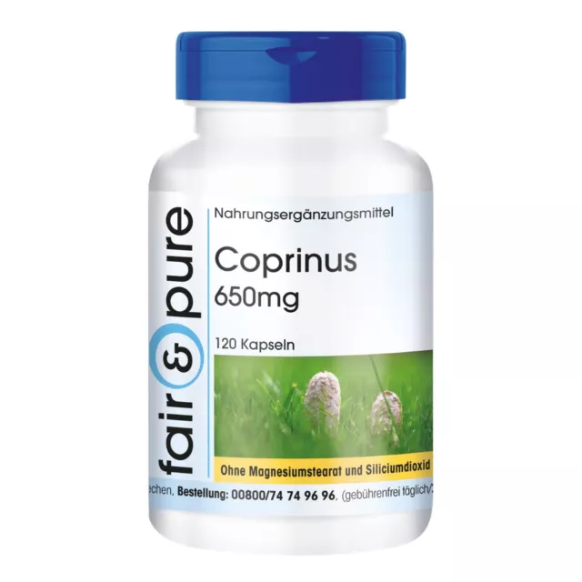 Coprinus 650 mg - 120 Kapseln Pilzpulver - Schopftintling - VEGAN | fair & pure