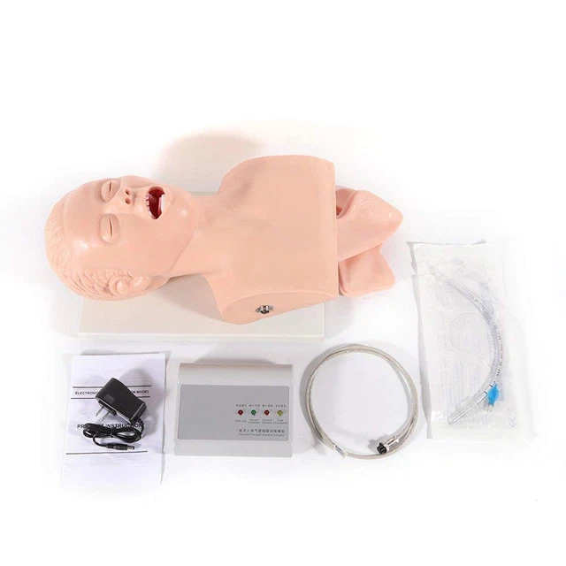 220V Intubation Manikin Study Teaching Model Airway Management Trainer Intubatio
