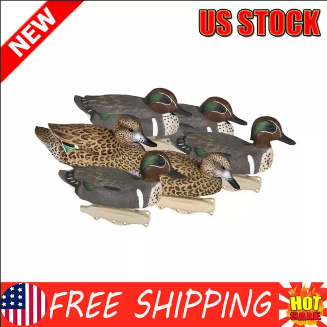 Outdoor Storm Front 2 Green Winged Teal Decoys 10.5'' Waterfowl Floaters 6 Pack