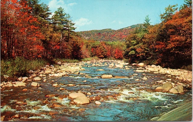 Greetings From Brownstown IN River Bed Autumn Fall Leaves Indiana Postcard A526