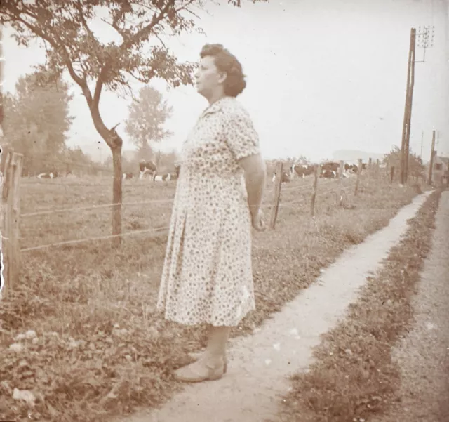 Femme Rhuis Oise Champ Vaches c1940 FRANCE vintage photo glass plate 