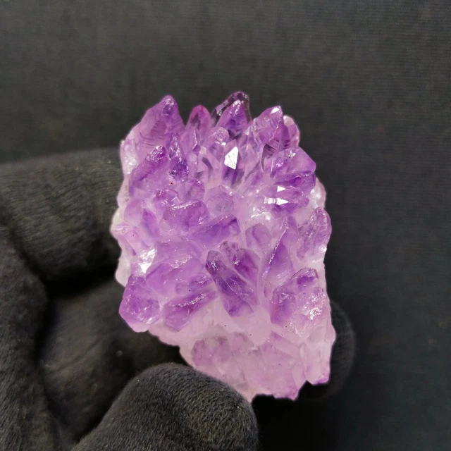 Fiore Ametista Minerali Cristalli Minerali Pietra Collezione Pietre Naturali)