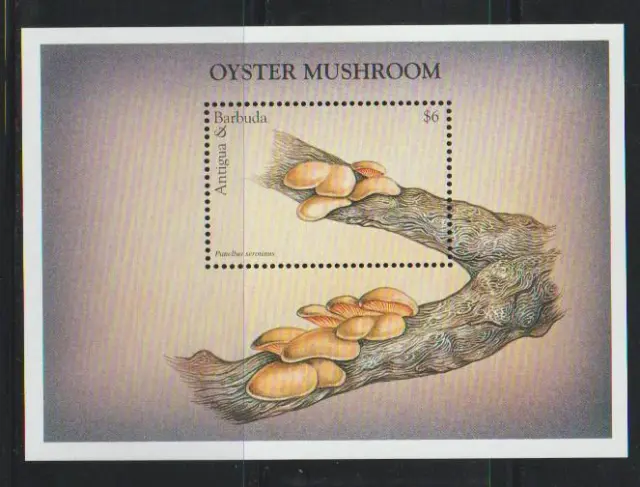 Antigua & Barbuda 1997 Stamp Oyster Mushrooms Ss Mnh - Ant563