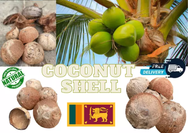 COCONUT SHELL 100% Natural Pure Eco Friendly Ceylon Coconut Shell Halves