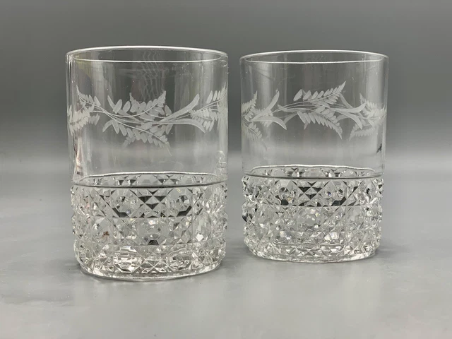 Tumbler TUDOR Central Glass #810 1880s EAPG Pattern Glass Thistle Etch Set Of 2