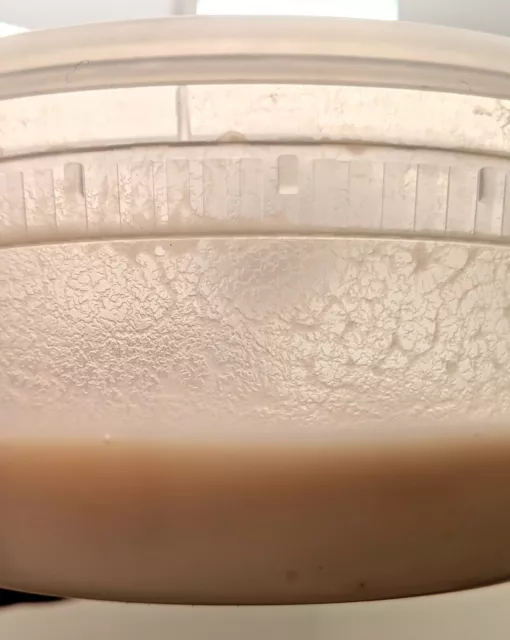 Microworm Starter Culture - Easy Live Food for Fry, Nano Fish, Guppy, Betta