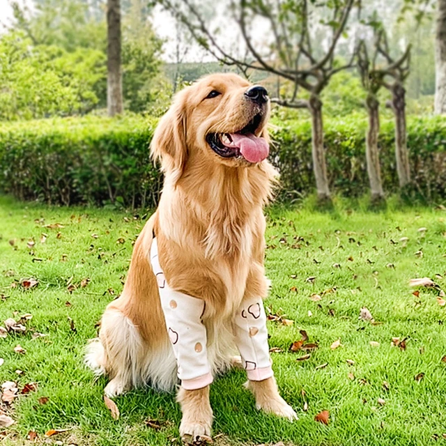 (2XL)1 Paio Di Protezioni Per Il Gomito Del Cane Supporto Morbido Regolabile