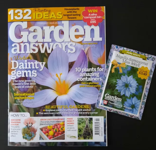 Which Magazine Feb 2025 Magazine Megan Marijo