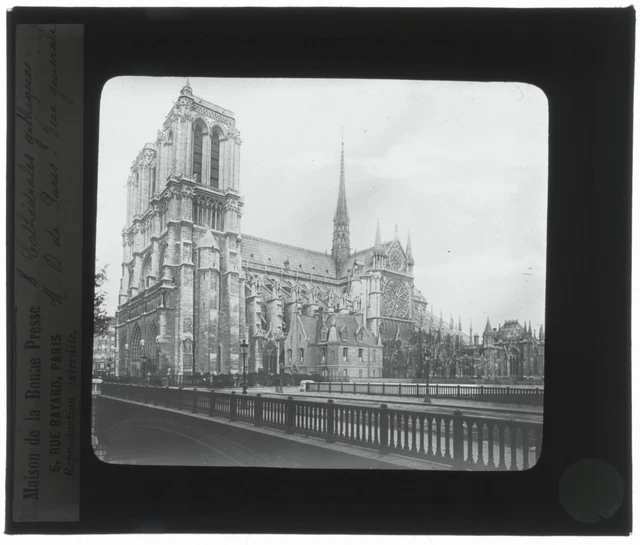 La cathédrale de Chartres - Henri d'Anselme - Édition limitée – Ours Blanc Paris