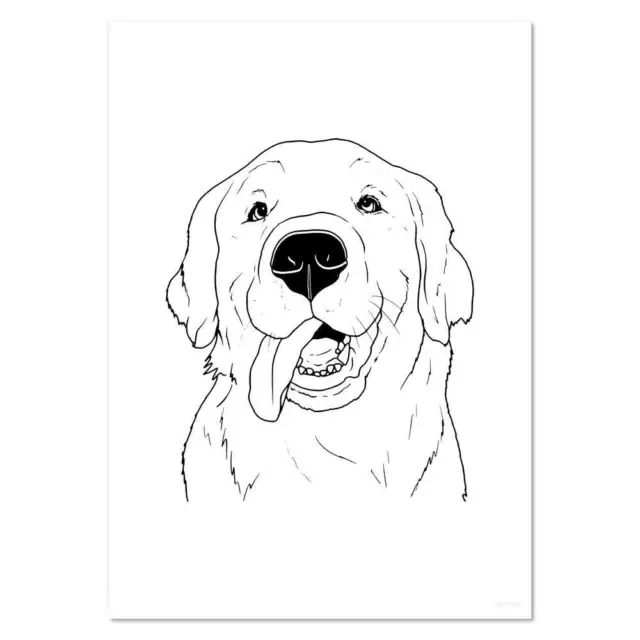 'Golden Retriever Face' Wall Posters / Prints (PP046376)