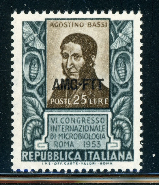 AMG-FTT Trieste MNH: Scott #187 25l Microbiology Congress CV$4+