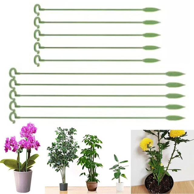 Robuste Halterung zur Verhinderung von Stammbiegungen ideal für Sonnenblumen un