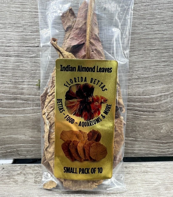 10x INDIAN ALMOND CATAPPA KETAPANG LEAF LEAVES AQUARIUM BETTA FISH SHRIMP USA