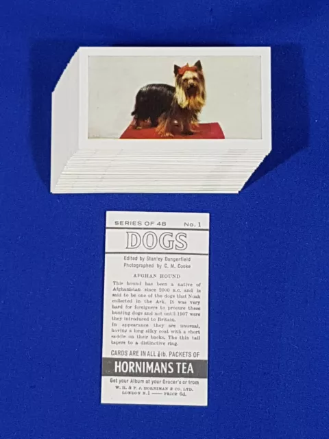 Hornimans Tea cards DOGS issued in 1961 - Full Set of 48 Loose