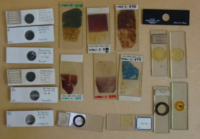 Vintage Microscope Slide Set "B"