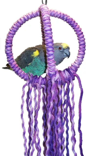 Small Purple Parrot Orbit Swing Toys Perches