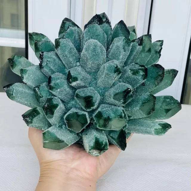 New Find Green Phantom Quartz Crystal Cluster Mineral Specimen Healing 3460G