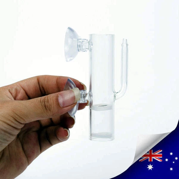 Aquarium Glass Egg Tumbler Incubator For Crystal Cherry Red Shrimp Hatching