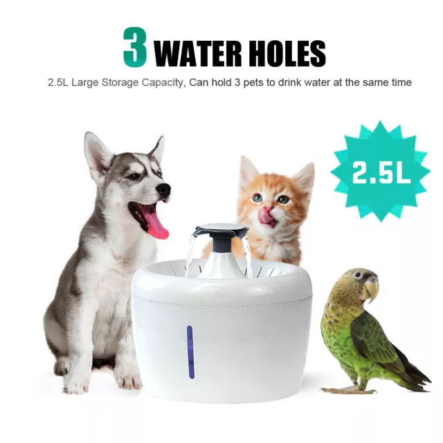 Fontaine à Eau pour Chat Chien Fontaine à Distributeur Eau Électrique + Filtres 2