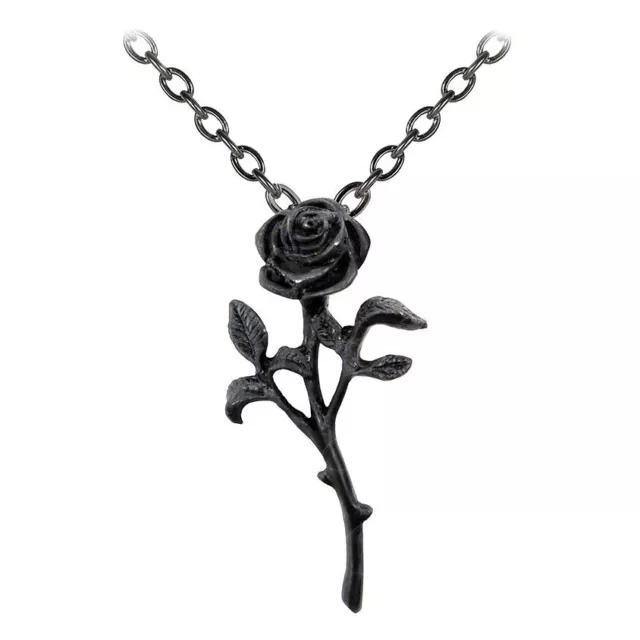 Alchemy Gothic Romantik von Den Schwarze Rose Anhänger Halskette - Zinn England