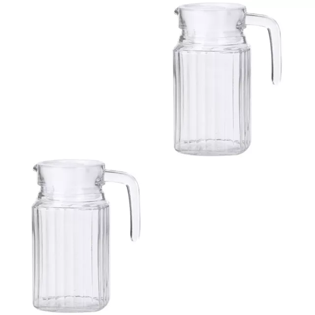 2 PCS Behälter Für Kaltes Wasser Karaffen Flasche Trinkflasche
