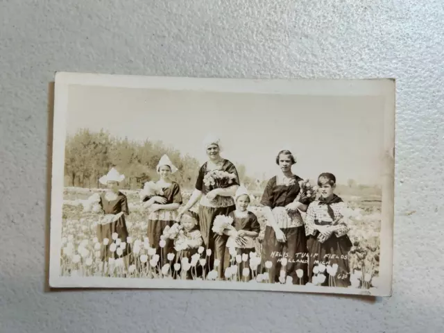 Vintage Nelis Tulip Fields Holland Michigan Real Picture Photo Postcard
