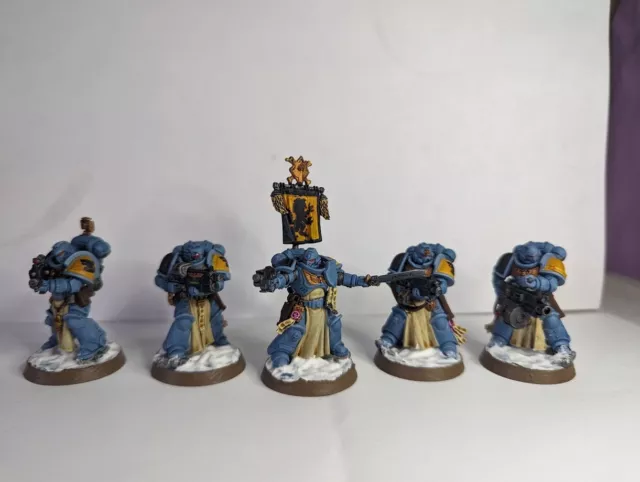 Warhammer 40k Space Marine sternguard veterans (painted, space wolves)